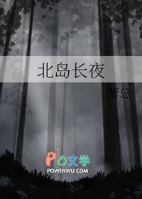 北岛长夜