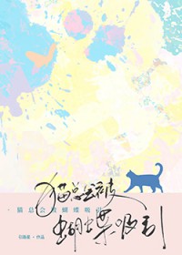 猫总会被蝴蝶吸引