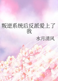����ϵͳ���ɰ�������